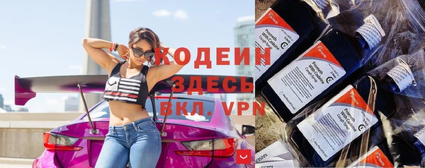 круглые Гусев
