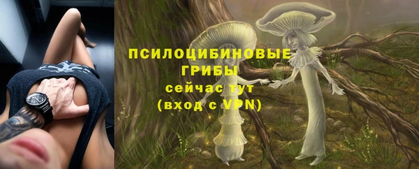 амфетамин Алексин