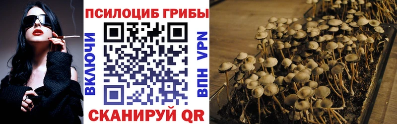 Галлюциногенные грибы Psilocybe  Юрьев-Польский 
